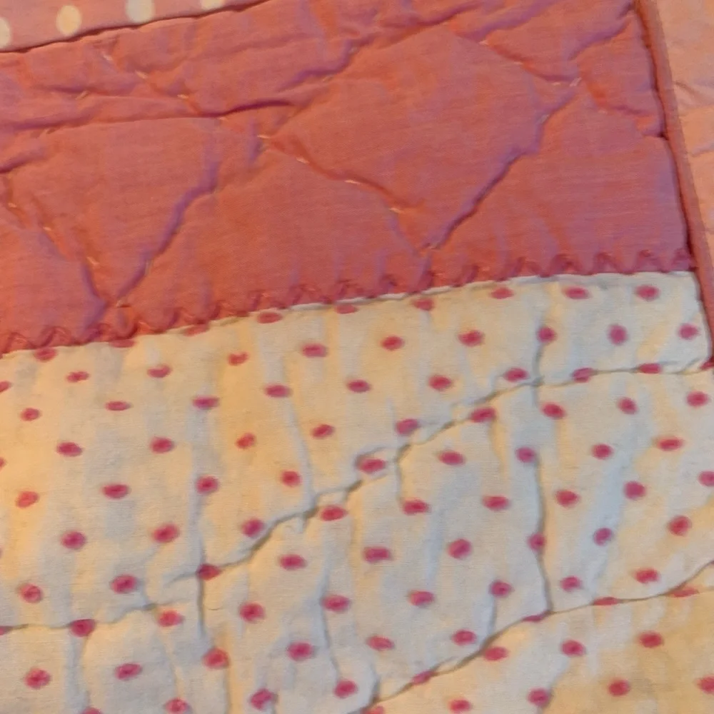 Pottery Barn Pink Euro Sham
